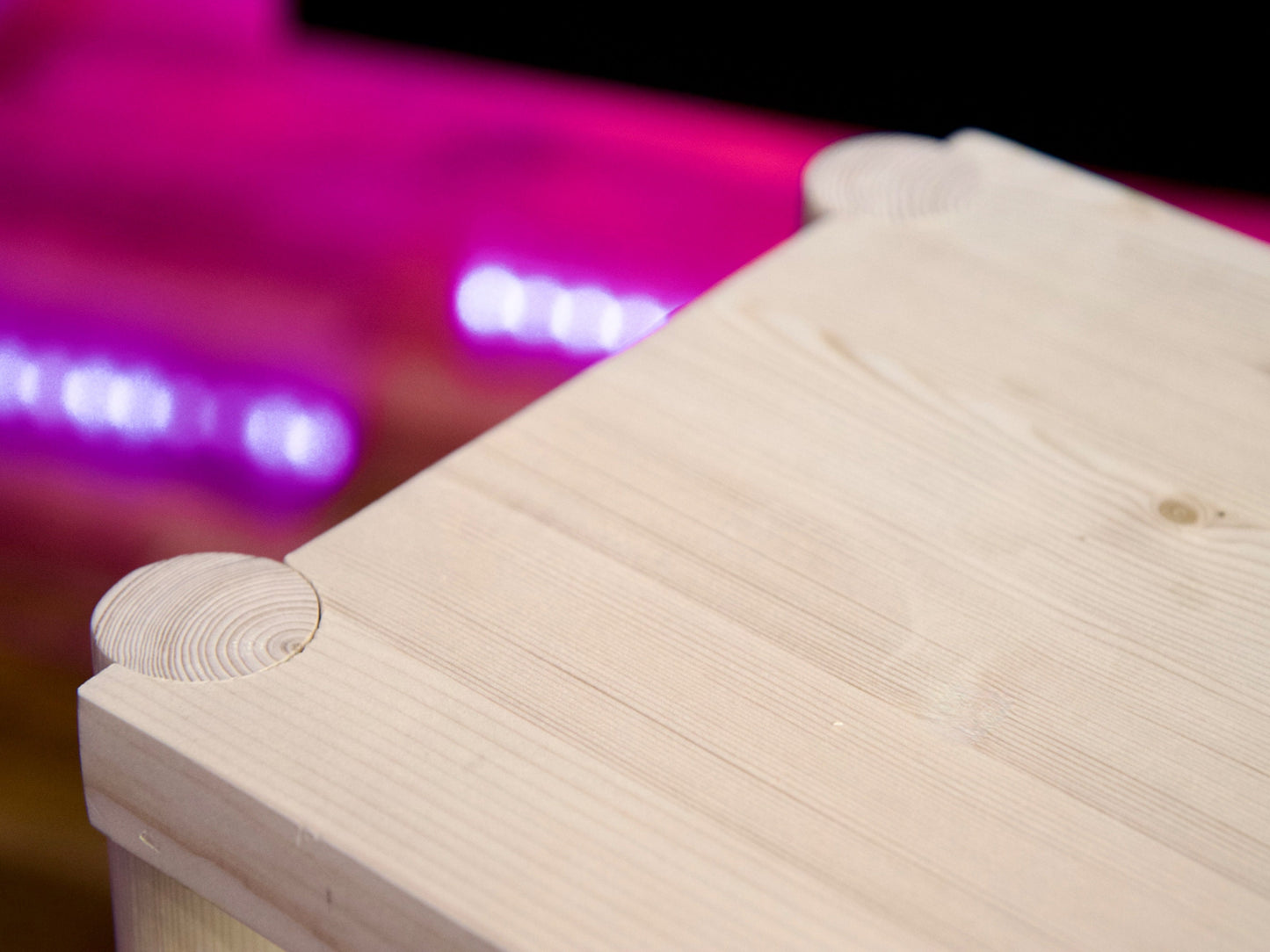 - Sanded Only view 5